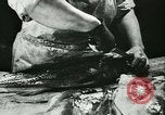 Standbild Fisch Haut-Anlage in Deutschland Deutschland, 1942, aus Sekunde 9 historischem Filmmaterial Videoclip 65675021789