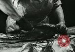 Standbild Fisch Haut-Anlage in Deutschland Deutschland, 1942, aus Sekunde 10 historischem Filmmaterial Videoclip 65675021789