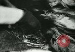 Standbild Fisch Haut-Anlage in Deutschland Deutschland, 1942, aus Sekunde 12 historischem Filmmaterial Videoclip 65675021789