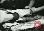 Standbild Fisch Haut-Anlage in Deutschland Deutschland, 1942, aus Sekunde 18 historischem Filmmaterial Videoclip 65675021789
