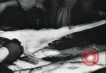 Standbild Fisch Haut-Anlage in Deutschland Deutschland, 1942, aus Sekunde 20 historischem Filmmaterial Videoclip 65675021789