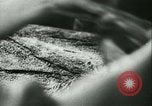 Standbild Fisch Haut-Anlage in Deutschland Deutschland, 1942, aus Sekunde 24 historischem Filmmaterial Videoclip 65675021789