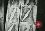 Standbild Fisch Haut-Anlage in Deutschland Deutschland, 1942, aus Sekunde 34 historischem Filmmaterial Videoclip 65675021789