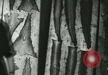 Standbild Fisch Haut-Anlage in Deutschland Deutschland, 1942, aus Sekunde 38 historischem Filmmaterial Videoclip 65675021789