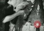 Standbild Fisch Haut-Anlage in Deutschland Deutschland, 1942, aus Sekunde 39 historischem Filmmaterial Videoclip 65675021789