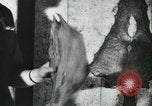Standbild Fisch Haut-Anlage in Deutschland Deutschland, 1942, aus Sekunde 40 historischem Filmmaterial Videoclip 65675021789