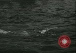 Image of Swimming meet in Barcelona Barcelona Spain, 1942, second 10 stock footage video 65675021790