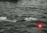 Image of Swimming meet in Barcelona Barcelona Spain, 1942, second 11 stock footage video 65675021790