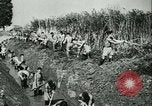 Image of Robert Ley meets with Ion Antonescu Bucharest Romania, 1942, second 57 stock footage video 65675021791