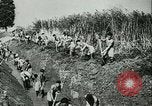 Image of Robert Ley meets with Ion Antonescu Bucharest Romania, 1942, second 58 stock footage video 65675021791