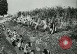 Image of Robert Ley meets with Ion Antonescu Bucharest Romania, 1942, second 59 stock footage video 65675021791