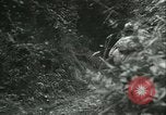 Image of German troops in battle World War 2 France, 1944, second 37 stock footage video 65675021804