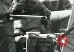 Image of Allied aircraft Caen France, 1944, second 48 stock footage video 65675021808