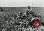 Image of Schutzstaffel France, 1944, second 7 stock footage video 65675021810