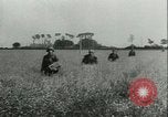 Image of Schutzstaffel France, 1944, second 25 stock footage video 65675021810