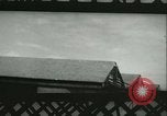 Image of VIII Fighter Command Germany, 1944, second 13 stock footage video 65675021828