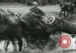 Immagine di Esercito Tedesco di unità Francia, 1940, secondo 4 filmato di repertorio 65675021834