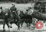 Immagine di Esercito Tedesco di unità Francia, 1940, secondo 6 filmato di repertorio 65675021834