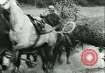 Immagine di Esercito Tedesco di unità Francia, 1940, secondo 7 filmato di repertorio 65675021834