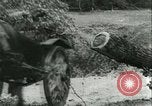 Immagine di Esercito Tedesco di unità Francia, 1940, secondo 8 filmato di repertorio 65675021834