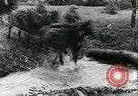 Immagine di Esercito Tedesco di unità Francia, 1940, secondo 9 filmato di repertorio 65675021834