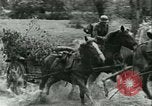 Immagine di Esercito Tedesco di unità Francia, 1940, secondo 11 filmato di repertorio 65675021834