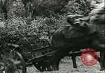 Immagine di Esercito Tedesco di unità Francia, 1940, secondo 12 filmato di repertorio 65675021834