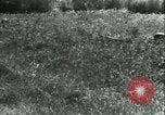 Immagine di Esercito Tedesco di unità Francia, 1940, secondo 54 filmato di repertorio 65675021834