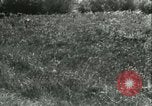 Immagine di Esercito Tedesco di unità Francia, 1940, secondo 56 filmato di repertorio 65675021834