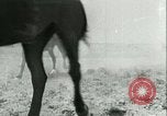Image bataille de France France, 1940, de la seconde 44 séquences d'archives historiques vidéo 65675021841