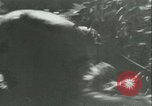 Standbild Schlacht von Frankreich Frankreich, 1940, aus Sekunde 46 historischem Filmmaterial Videoclip 65675021842