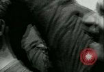 Immagine di Tedesco le difese costiere a canale in inglese Fronte occidentale, 1941, secondo 8 filmato di repertorio 65675021852
