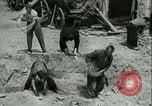 Immagine di Tedesco le difese costiere a canale in inglese Fronte occidentale, 1941, secondo 50 filmato di repertorio 65675021852