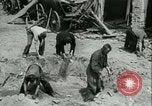 Immagine di Tedesco le difese costiere a canale in inglese Fronte occidentale, 1941, secondo 51 filmato di repertorio 65675021852