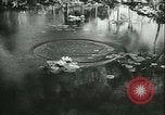 Immagine di Assistenza infermieristica militare United States USA, 1944, secondo 26 filmato di repertorio 65675021853