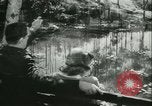 Immagine di Assistenza infermieristica militare United States USA, 1944, secondo 28 filmato di repertorio 65675021853