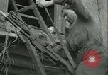 Standbild französischen Widerstand Chateaudun Frankreich, 1944, aus Sekunde 45 historischem Filmmaterial Videoclip 65675021860