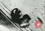 Immagine di Rifugiati francese Parigi Francia, 1942, secondo 59 filmato di repertorio 65675021868
