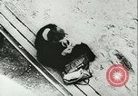 Immagine di Rifugiati francese Parigi Francia, 1942, secondo 62 filmato di repertorio 65675021868