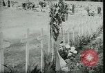 Image of Allied cemetery Paris France, 1945, second 47 stock footage video 65675021884