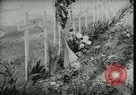 Image of Allied cemetery Paris France, 1945, second 51 stock footage video 65675021884