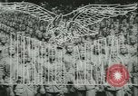 Immagine di Grasshopper aeromobile Isola di Bougainville Papua Nuova Guinea, 1944, secondo 12 filmato di repertorio 65675021886