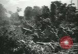 Immagine di Grasshopper aeromobile Isola di Bougainville Papua Nuova Guinea, 1944, secondo 61 filmato di repertorio 65675021886