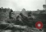 Immagine di Grasshopper aeromobile Isola di Bougainville Papua Nuova Guinea, 1944, secondo 62 filmato di repertorio 65675021886