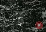 Standbild Office of Strategic Services Birma, 1943, aus Sekunde 51 historischem Filmmaterial Videoclip 65675021891