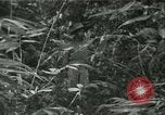 Standbild Office of Strategic Services Birma, 1943, aus Sekunde 56 historischem Filmmaterial Videoclip 65675021891