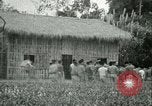 Image Bureau des services stratégiques la Birmanie, 1943, de la seconde 9 séquences d'archives historiques vidéo 65675021894