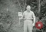 Image Bureau des services stratégiques la Birmanie, 1943, de la seconde 52 séquences d'archives historiques vidéo 65675021894