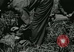 Image Bureau des services stratégiques la Birmanie, 1943, de la seconde 6 séquences d'archives historiques vidéo 65675021895