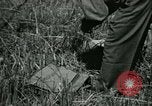 Image Bureau des services stratégiques la Birmanie, 1943, de la seconde 14 séquences d'archives historiques vidéo 65675021895